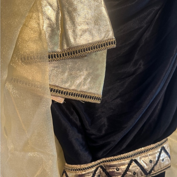 Queen of the Nile Costume - Picture 7 of 9